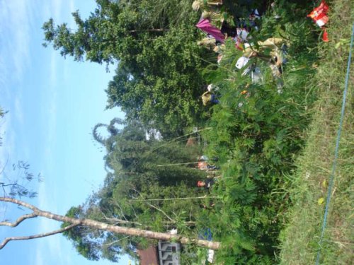 DSC09929_1